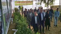 افتتاح گلخانه تولید نهال در روستای اوچ تپه کرد شهرستان میاندوآب به مناسبت هفته دولت